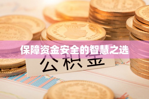 临城保障资金安全的智慧之选