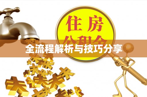 临城全流程解析与技巧分享