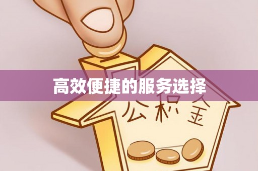 临城高效便捷的服务选择